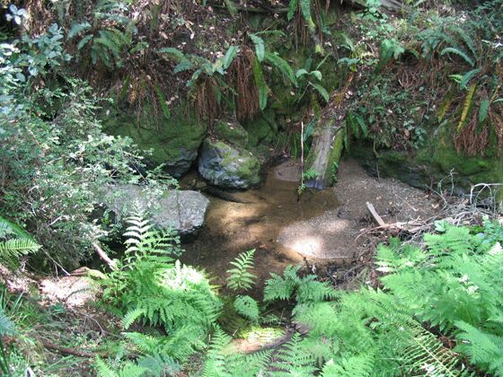 Click to See Next Image