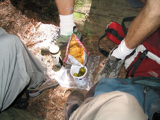 Click to See Next Image