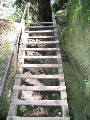 Click to See Next Image