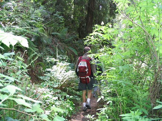 Click to See Next Image