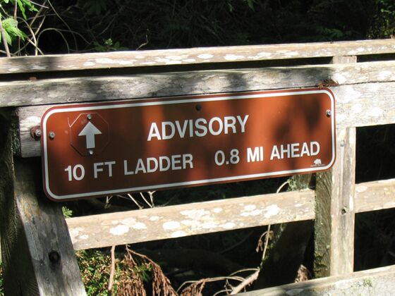 Click to See Next Image