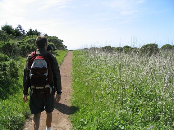 Click to See Next Image