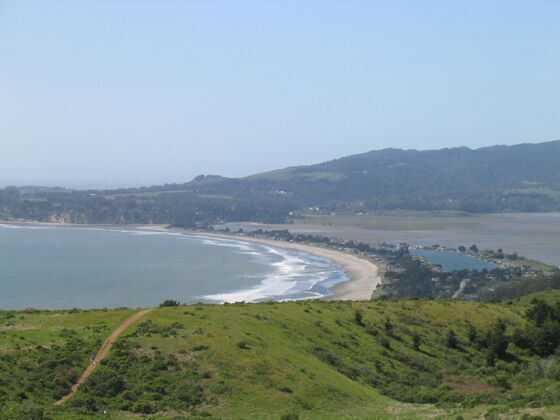 Click to See Next Image