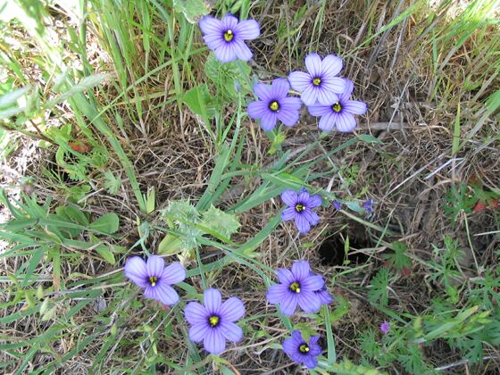 Click to See Next Image