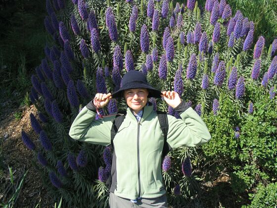 Click to See Next Image