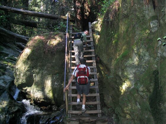 Click to See Next Image