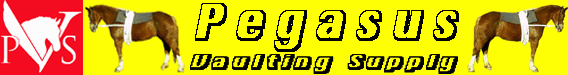 pegasusvaultingsupply.com