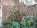 2004-11-UK-00002