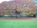 2004-11-UK048