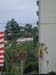 2005-01-cali027